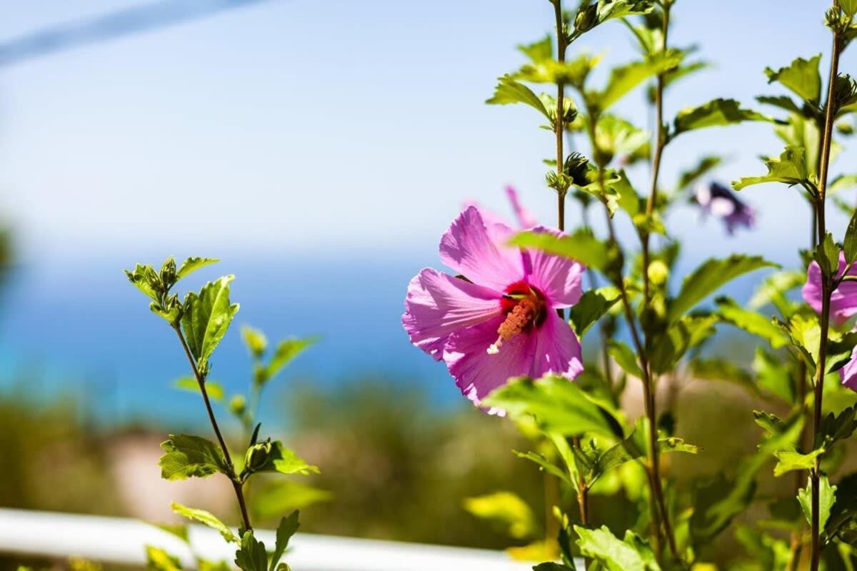 Vila Aigli Fully Equipped Getaway - Seaview Lux Retreat Kalamata Exteriér fotografie